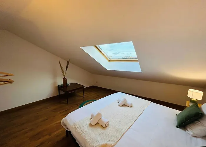 Appartement Le Spacieux Couturier Calme Gare Centre *